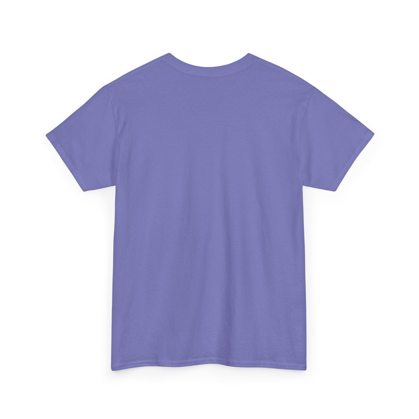 u=snowflake Vintage Holiday Tee