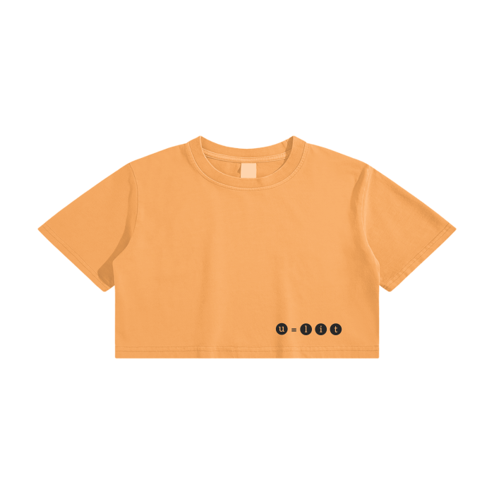 tee, crop, women's crop, crop top, women's t-shirt, u=lit